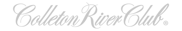 logo-2x